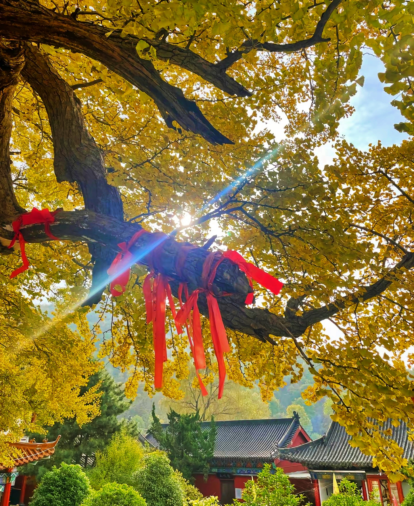 微信图片_20231027100531.jpg